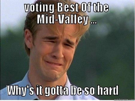 vote, please - VOTING BEST OF THE MID-VALLEY ... WHY'S IT GOTTA BE SO HARD     1990s Problems