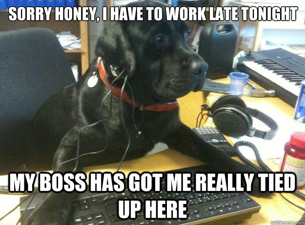 sorry honey, i have to work late tonight my boss has got me really tied up here  Tech Support Dog