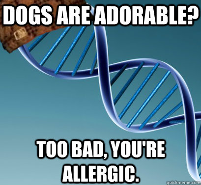 Dogs are adorable? Too bad, you're allergic. - Scumbag DNA - quickmeme