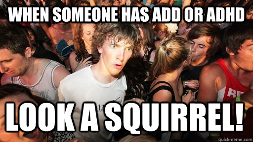 When someone has ADD or ADHD Look a squirrel! - When someone has ADD or ADHD Look a squirrel!  Sudden Clarity Clarence