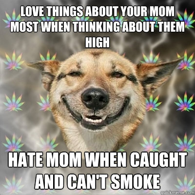 love things about your mom most when thinking about them high hate mom when caught and can't smoke  Stoner Dog