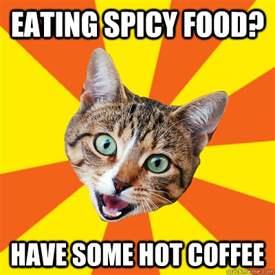 Eating spicy food? Have some hot coffee - Eating spicy food? Have some hot coffee  Bad Advice Cat