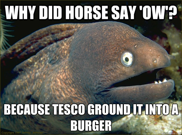 Why did horse say 'ow'? Because tesco ground it into a burger - Why did horse say 'ow'? Because tesco ground it into a burger  Bad Joke Eel