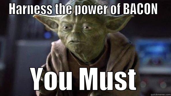 HARNESS THE POWER OF BACON  YOU MUST True dat, Yoda.