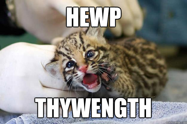 hewp thywength  First