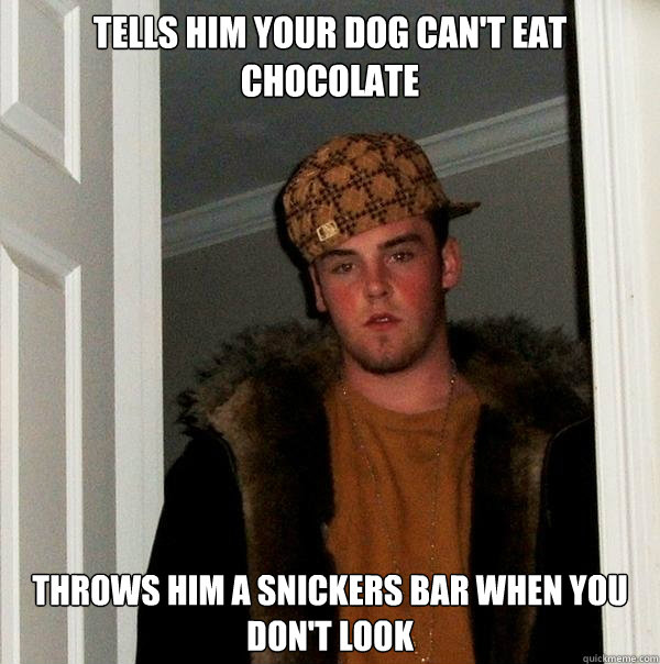 tells him your dog can't eat chocolate throws him a snickers bar when you don't look  Scumbag Steve