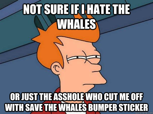 Not sure if i hate the whales or just the asshole who cut me off with save the whales bumper sticker  Futurama Fry