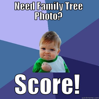 NEED FAMILY TREE PHOTO? SCORE! Success Kid