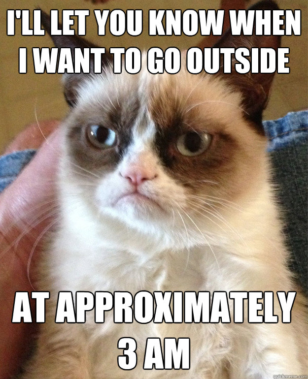 I'll let you know when I want to go outside at approximately 3 am  Grumpy Cat