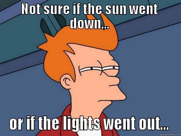 What happened to the lights? - NOT SURE IF THE SUN WENT DOWN... OR IF THE LIGHTS WENT OUT... Futurama Fry