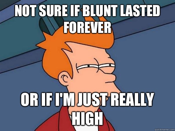 Not sure if blunt lasted forever or if I'm just really high  Futurama Fry