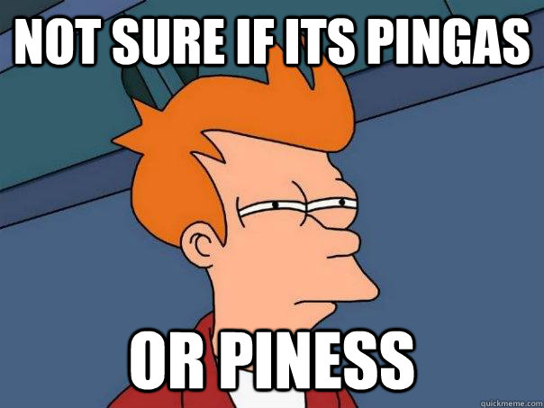 not sure if its pingas  or piness  Futurama Fry