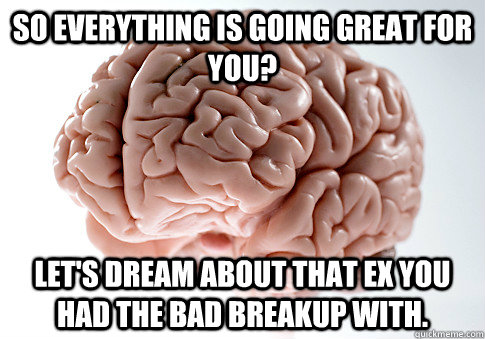 So everything is going great for you? Let's dream about that ex you had the bad breakup with.  Scumbag Brain