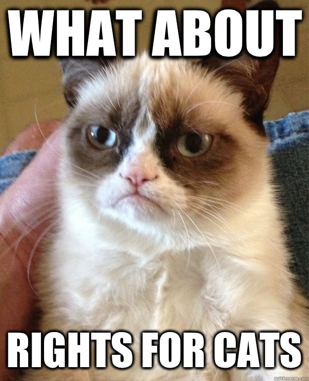 What about Rights for cats  Grumpy Cat