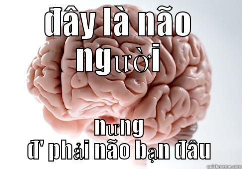 ĐÂY LÀ NÃO NGƯỜI NƯNG Đ' PHẢI NÃO BẠN ĐÂU Scumbag Brain