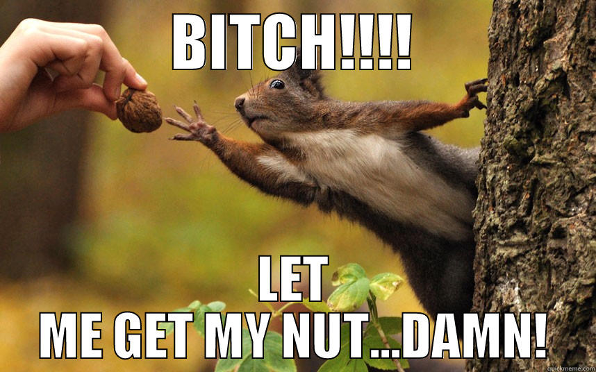 GET A NUT - BITCH!!!! LET ME GET MY NUT...DAMN! Misc