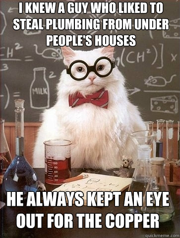 i knew a guy who liked to steal plumbing from under people's houses he always kept an eye out for the copper - i knew a guy who liked to steal plumbing from under people's houses he always kept an eye out for the copper  Chemistry Cat