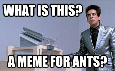 What is this? a meme for ants? - What is this? a meme for ants?  Zoolander