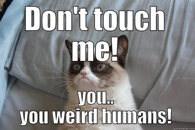 DON'T TOUCH ME! YOU.. YOU WEIRD HUMANS! Grumpy Cat