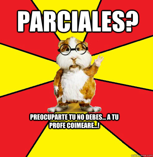 parciales? preocuparte tu no debes... a tu profe coimeare...!  Cuy Magico