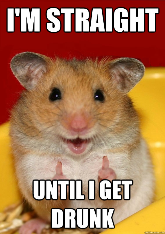 I'm straight until I get drunk  - I'm straight until I get drunk   Rationalization Hamster