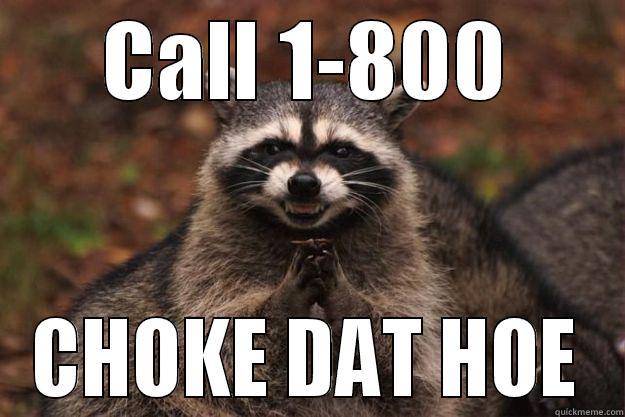 CALL 1-800 CHOKE DAT HOE Evil Plotting Raccoon