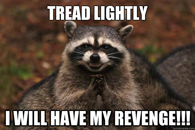 Tread lightly i WILL hAVE MY rEVENGE!!!  - Tread lightly i WILL hAVE MY rEVENGE!!!   Evil Plotting Raccoon