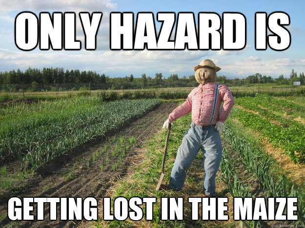 only hazard is getting lost in the maize  Scarecrow