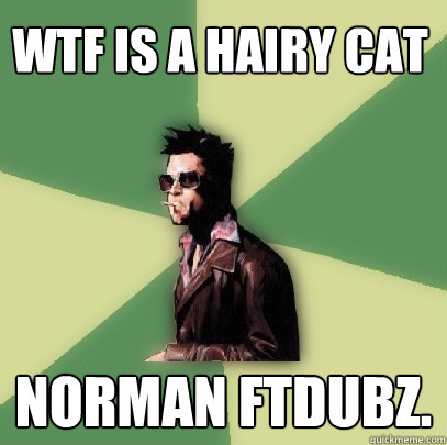 wtf is a hairy cat norman ftdubz.  Helpful Tyler Durden