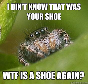 I din't know that was your shoe wtf is a shoe again? - I din't know that was your shoe wtf is a shoe again?  Misunderstood Spider