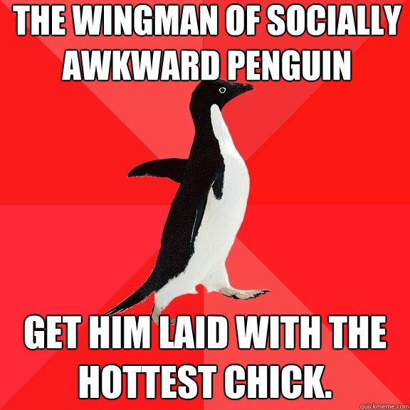 The wingman of socially awkward penguin Get him laid with the hottest chick.  Socially Awesome Penguin