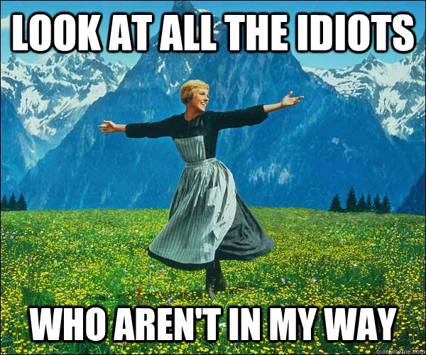 Look at all the idiots who aren't in my way - Look at all the idiots who aren't in my way  Sound of Music