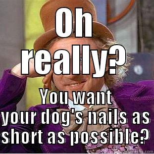 Clip this! - OH REALLY? YOU WANT YOUR DOG'S NAILS AS SHORT AS POSSIBLE? Condescending Wonka