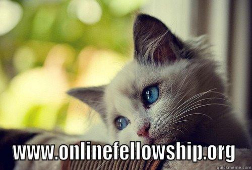  WWW.ONLINEFELLOWSHIP.ORG First World Problems Cat