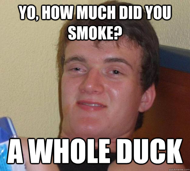 Yo, how much did you smoke? A whole duck - Yo, how much did you smoke? A whole duck  10 Guy