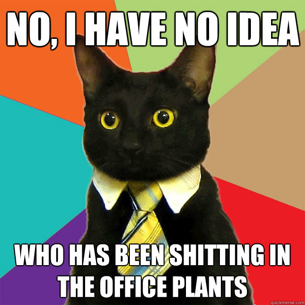 no, i have no idea who has been shitting in the office plants - no, i have no idea who has been shitting in the office plants  Business Cat