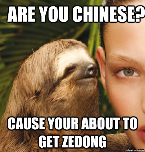 Are you chinese?  cause your about to get zedong  rape sloth