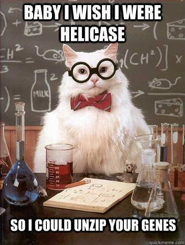 Baby I wish I were helicase so I could unzip your genes  Chemistry Cat