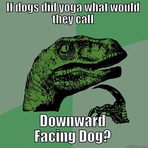 IF DOGS DID YOGA WHAT WOULD THEY CALL DOWNWARD FACING DOG? Philosoraptor