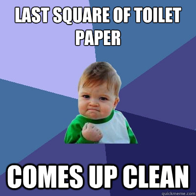 Last square of toilet paper Comes up clean  Success Kid