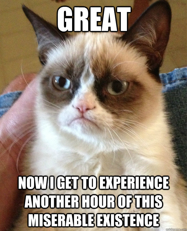 Great now I get to experience another hour of this miserable existence  Grumpy Cat