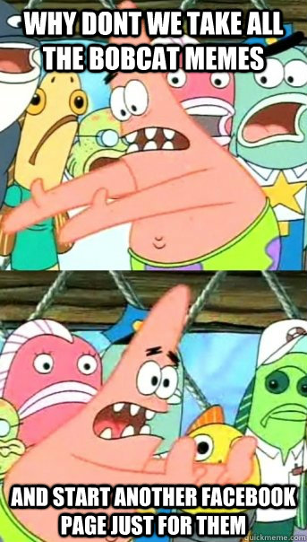 Why dont we take all the bobcat memes and start another facebook page just for them  - Why dont we take all the bobcat memes and start another facebook page just for them   Push it somewhere else Patrick