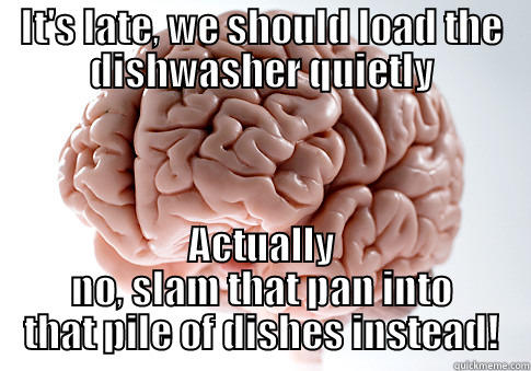 It's late, we should load the dishwasher quietly - IT'S LATE, WE SHOULD LOAD THE DISHWASHER QUIETLY ACTUALLY NO, SLAM THAT PAN INTO THAT PILE OF DISHES INSTEAD! Scumbag Brain