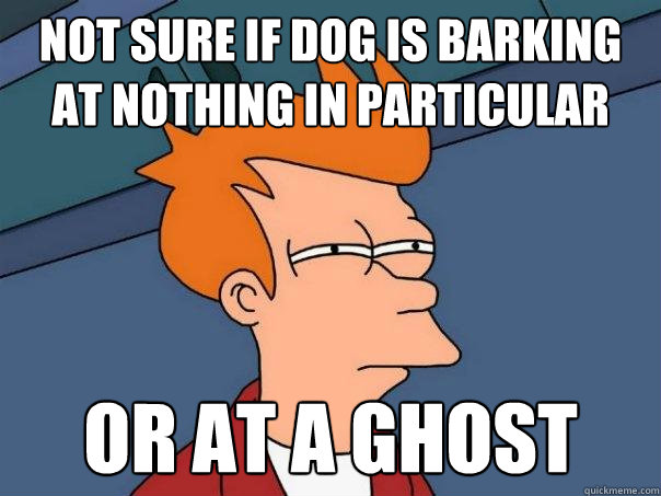 not sure if dog is barking at nothing in particular  or at a ghost  Futurama Fry