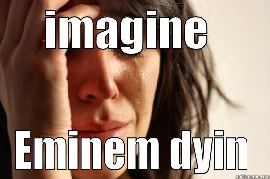 IMAGINE  EMINEM DYIN First World Problems