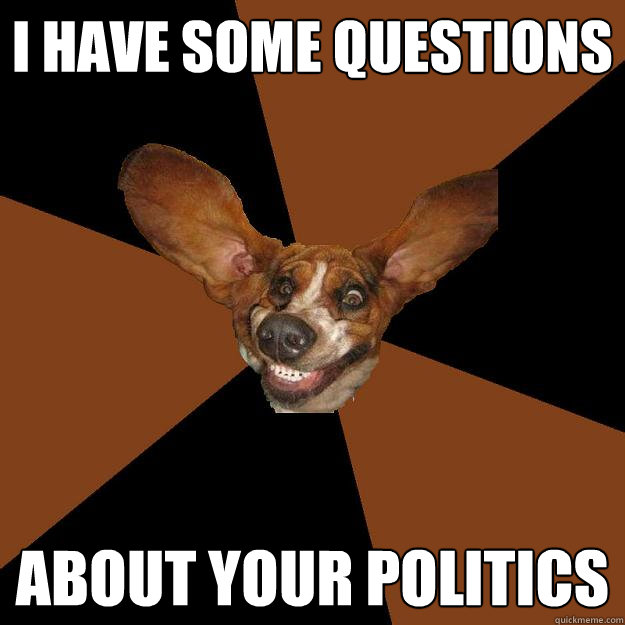 i have some questions about your politics  