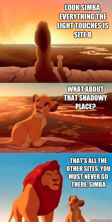 look simba, everything the light touches is site B what about that shadowy place? that's all the other sites, you must never go there, simba - look simba, everything the light touches is site B what about that shadowy place? that's all the other sites, you must never go there, simba  SIMBA