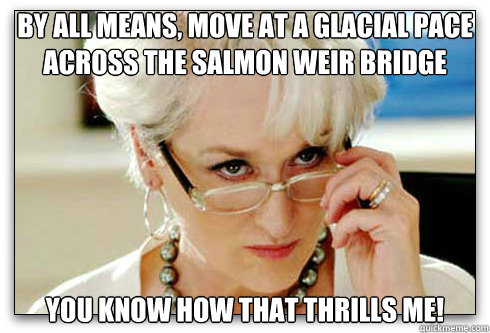 By all means, move at a glacial pace across the salmon weir bridge You know how that thrills me!  