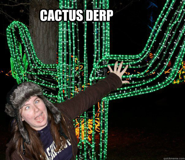 Cactus Derp  Jane Cactus