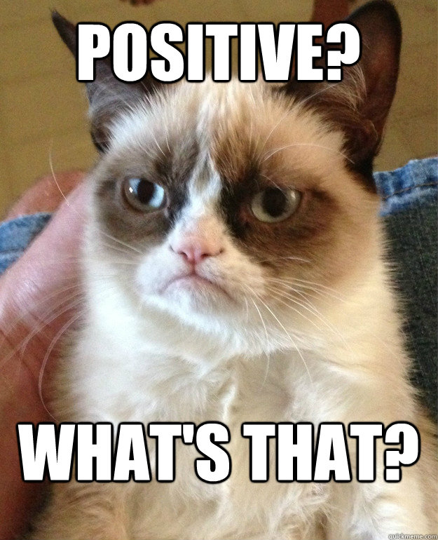 positive? what's that? - positive? what's that?  Grumpy Cat